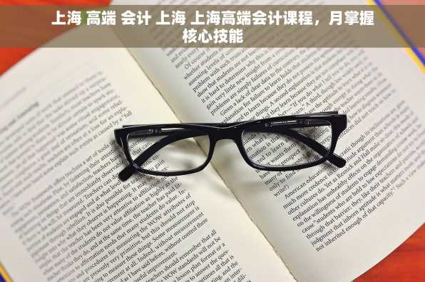 上海 高端 会计 上海 上海高端会计课程，月掌握核心技能