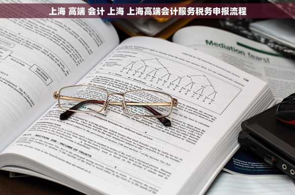 上海 高端 会计 上海 上海高端会计服务税务申报流程