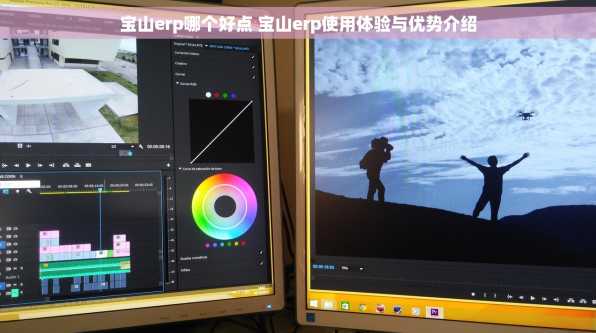 宝山erp哪个好点 宝山erp使用体验与优势介绍