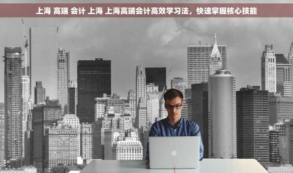 上海 高端 会计 上海 上海高端会计高效学习法，快速掌握核心技能