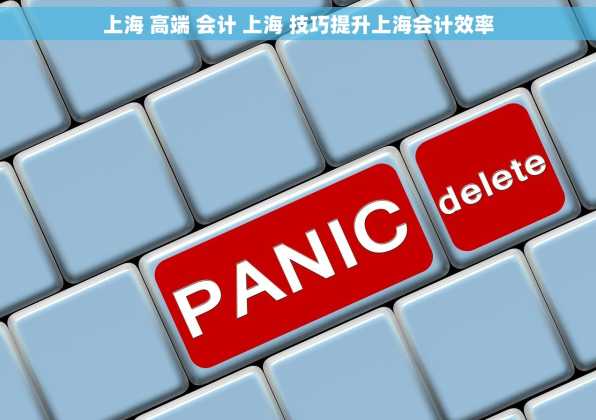 上海 高端 会计 上海 技巧提升上海会计效率