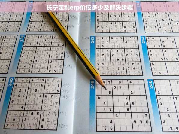 长宁定制erp价位多少及解决步骤