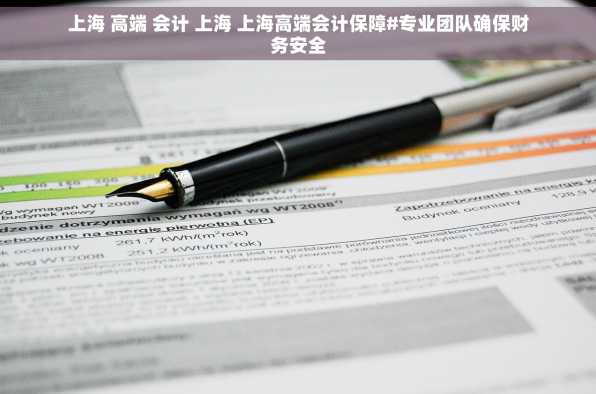 上海 高端 会计 上海 上海高端会计保障#专业团队确保财务安全