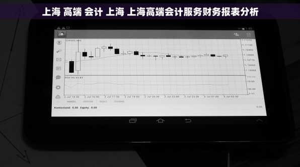 上海 高端 会计 上海 上海高端会计服务财务报表分析