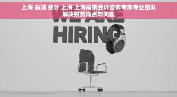 上海 高端 会计 上海 上海高端会计咨询专家专业团队解决财务痛点与问题