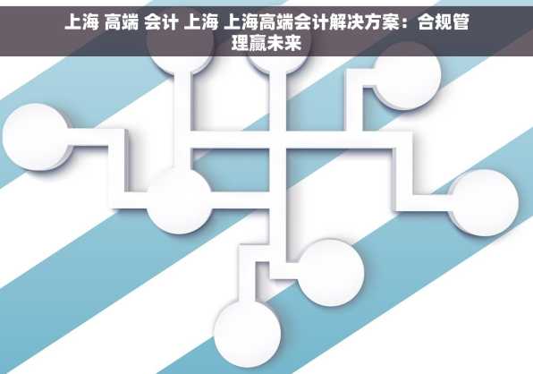 上海 高端 会计 上海 上海高端会计解决方案：合规管理赢未来