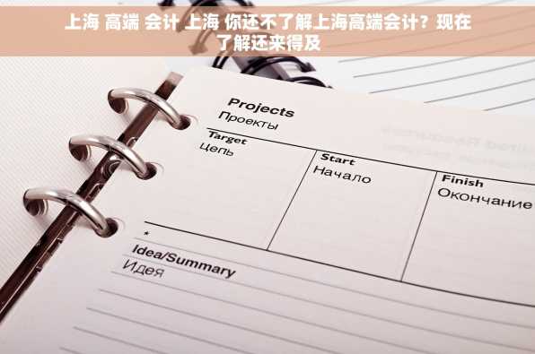 上海 高端 会计 上海 你还不了解上海高端会计？现在了解还来得及