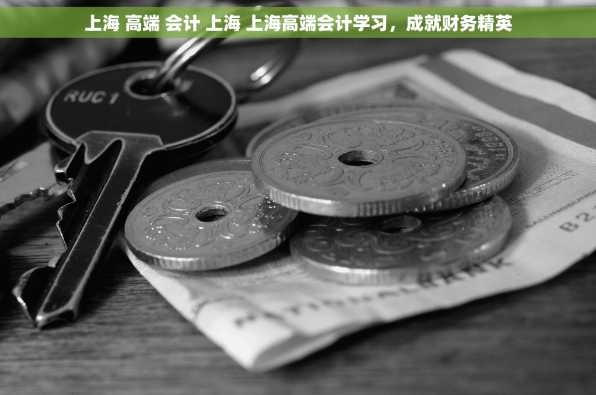 上海 高端 会计 上海 上海高端会计学习，成就财务精英