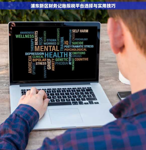 浦东新区财务记账报税平台选择与实用技巧