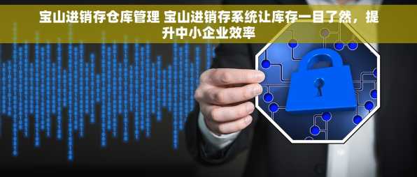 宝山进销存仓库管理 宝山进销存系统让库存一目了然，提升中小企业效率