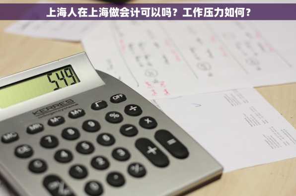 上海人在上海做会计可以吗？工作压力如何？