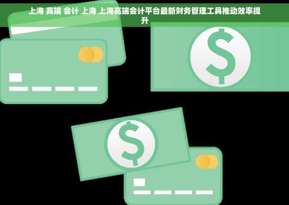 上海 高端 会计 上海 上海高端会计平台最新财务管理工具推动效率提升