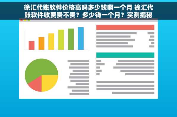 徐汇代账软件价格高吗多少钱啊一个月 徐汇代账软件收费贵不贵？多少钱一个月？实测揭秘