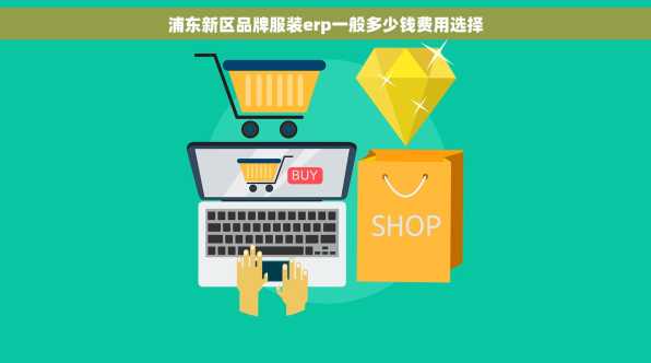 浦东新区品牌服装erp一般多少钱费用选择