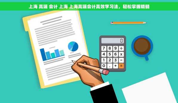 上海 高端 会计 上海 上海高端会计高效学习法，轻松掌握精髓