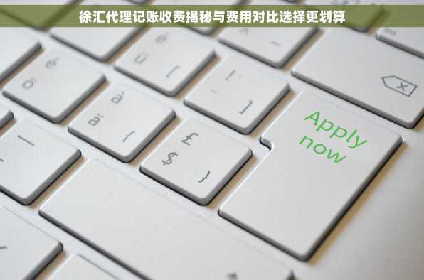 徐汇代理记账收费揭秘与费用对比选择更划算