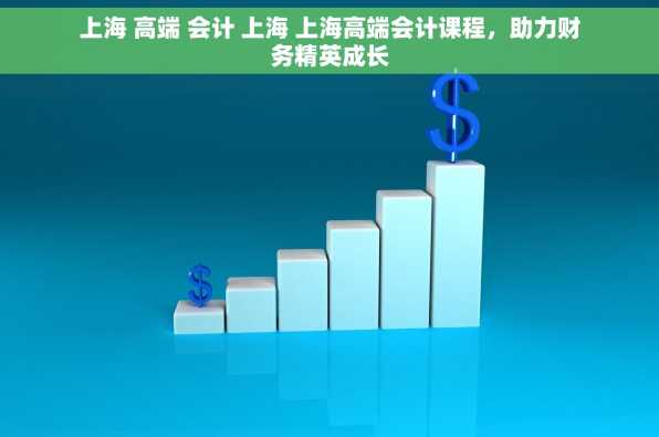 上海 高端 会计 上海 上海高端会计课程，助力财务精英成长