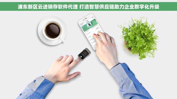 浦东新区云进销存软件代理 打造智慧供应链助力企业数字化升级
