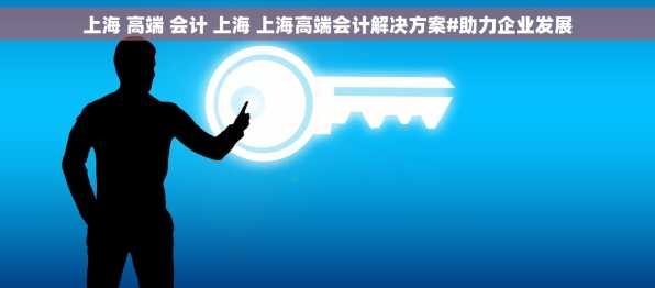 上海 高端 会计 上海 上海高端会计解决方案#助力企业发展