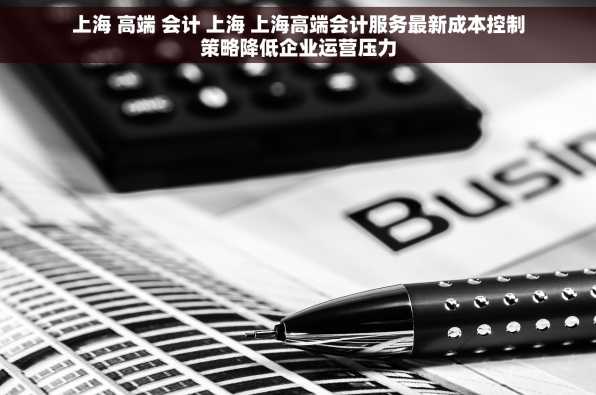 上海 高端 会计 上海 上海高端会计服务最新成本控制策略降低企业运营压力