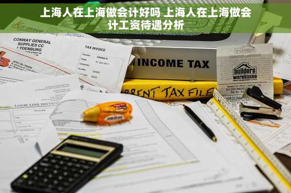 上海人在上海做会计好吗 上海人在上海做会计工资待遇分析