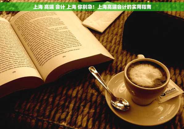 上海 高端 会计 上海 你别急！上海高端会计的实用指南