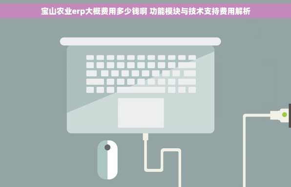 宝山农业erp大概费用多少钱啊 功能模块与技术支持费用解析