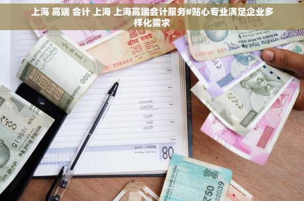 上海 高端 会计 上海 上海高端会计服务#贴心专业满足企业多样化需求
