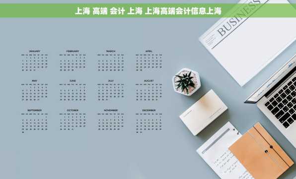 上海 高端 会计 上海 上海高端会计信息上海