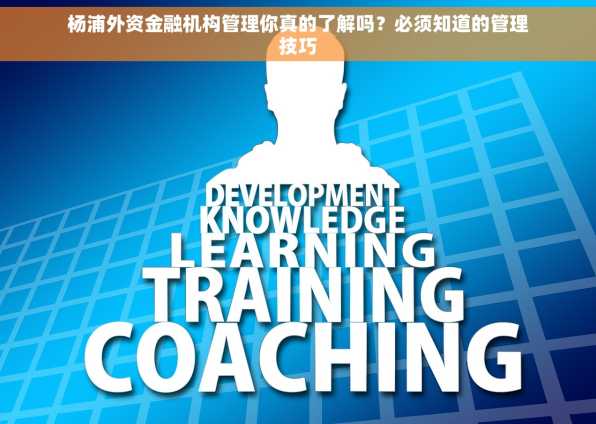 杨浦外资金融机构管理你真的了解吗？必须知道的管理技巧