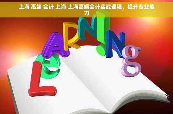 上海 高端 会计 上海 上海高端会计实战课程，提升专业能力