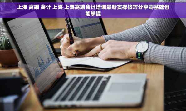 上海 高端 会计 上海 上海高端会计培训最新实操技巧分享零基础也能掌握