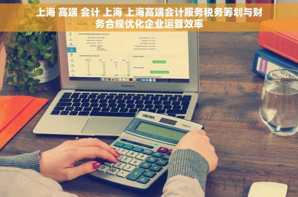 上海 高端 会计 上海 上海高端会计服务税务筹划与财务合规优化企业运营效率