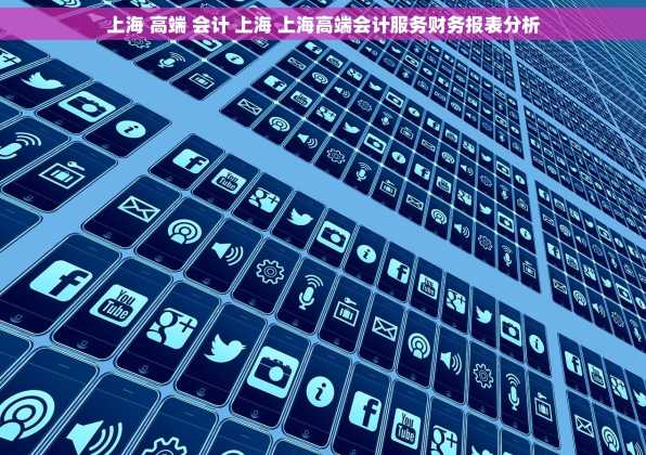 上海 高端 会计 上海 上海高端会计服务财务报表分析