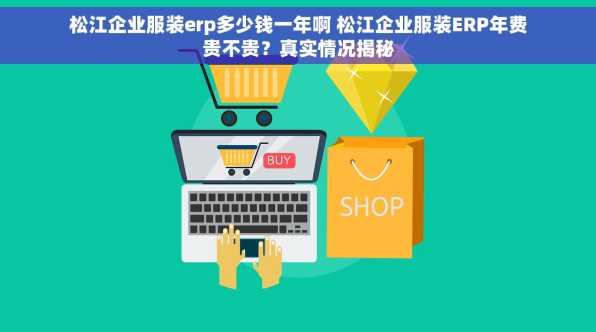 松江企业服装erp多少钱一年啊 松江企业服装ERP年费贵不贵？真实情况揭秘