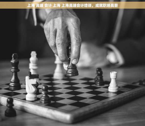 上海 高端 会计 上海 上海高端会计培训，成就职场高薪