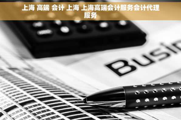 上海 高端 会计 上海 上海高端会计服务会计代理服务