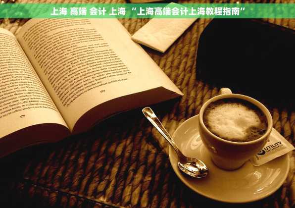 上海 高端 会计 上海 “上海高端会计上海教程指南”