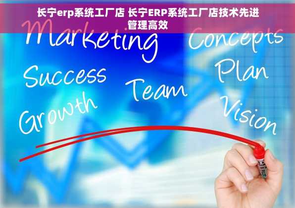 长宁erp系统工厂店 长宁ERP系统工厂店技术先进管理高效