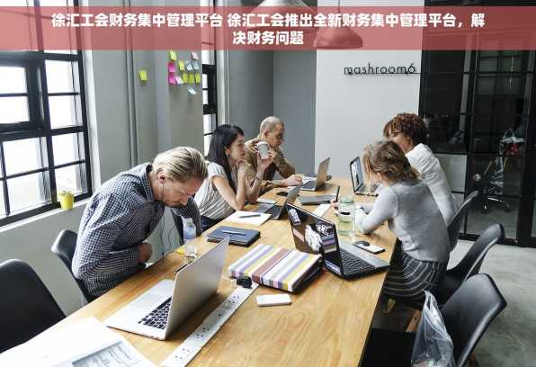 徐汇工会财务集中管理平台 徐汇工会推出全新财务集中管理平台，解决财务问题
