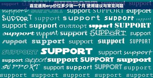 嘉定通用erp价位多少钱一个月 使用建议与常见问题