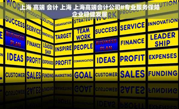 上海 高端 会计 上海 上海高端会计公司#专业服务保障企业稳健发展