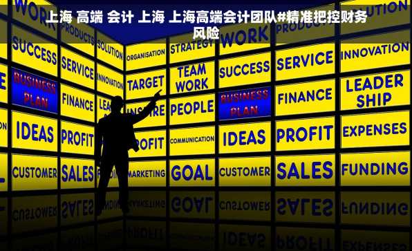 上海 高端 会计 上海 上海高端会计团队#精准把控财务风险