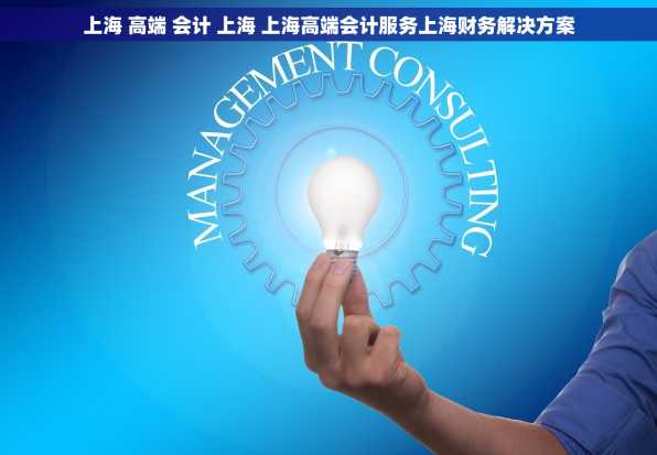 上海 高端 会计 上海 上海高端会计服务上海财务解决方案