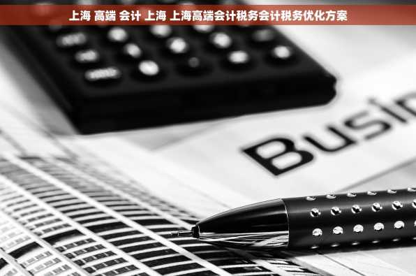 上海 高端 会计 上海 上海高端会计税务会计税务优化方案