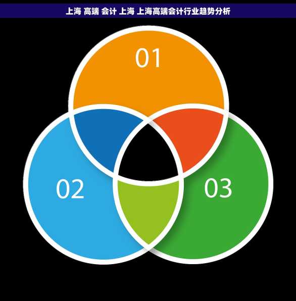 上海 高端 会计 上海 上海高端会计行业趋势分析