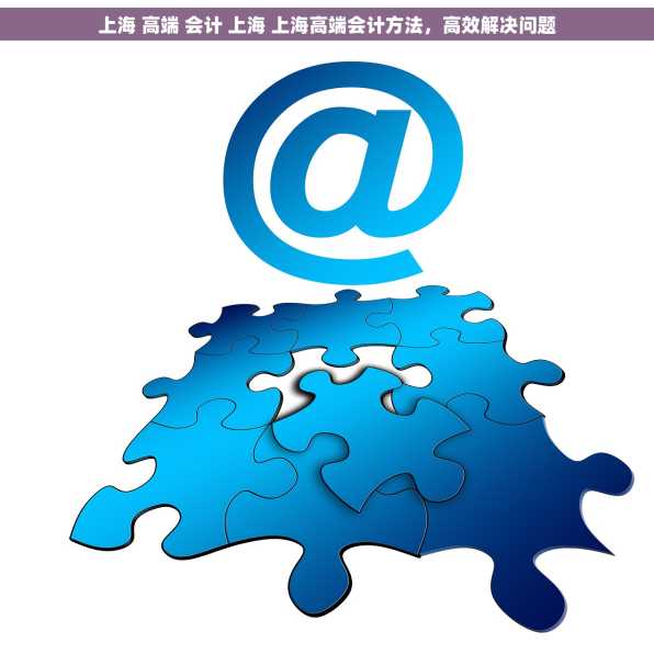 上海 高端 会计 上海 上海高端会计方法，高效解决问题