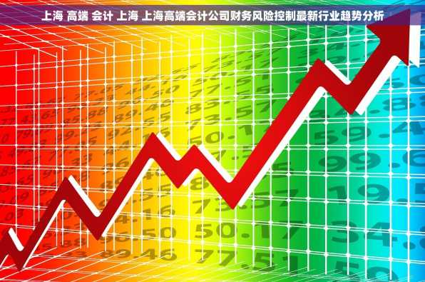 上海 高端 会计 上海 上海高端会计公司财务风险控制最新行业趋势分析