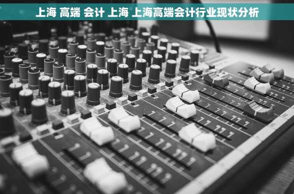 上海 高端 会计 上海 上海高端会计行业现状分析
