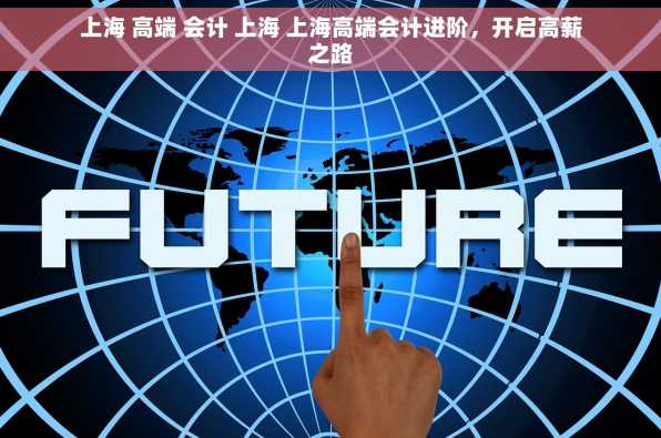上海 高端 会计 上海 上海高端会计进阶，开启高薪之路